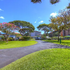  Apartment Maui Vista 3101 United States